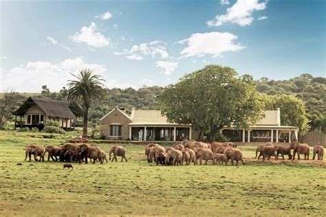 Addo Elephant National Park Self Drive Tour - Everything You Need to Know