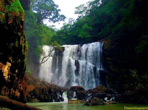 Sathodi Waterfalls, Yellapura, Uttara Kannada | Waterfall, Outdoor, Travel