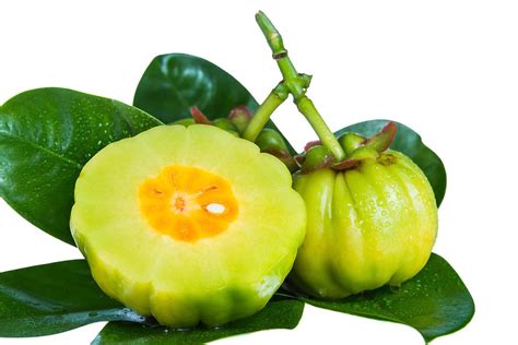 Everything about Garcinia Cambogia before and after | Flickr