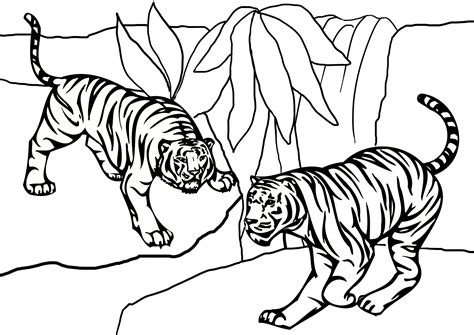 Coloring Pages of a Tiger