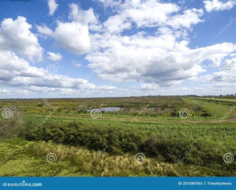 Lake Apopka Restoration Area Central Florida USA Stock Image - Image of ...