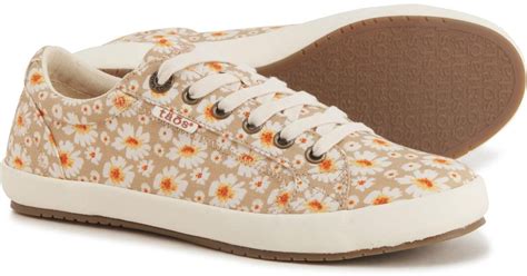 Taos Footwear Canvas Star Sneakers in Tan (Natural) | Lyst