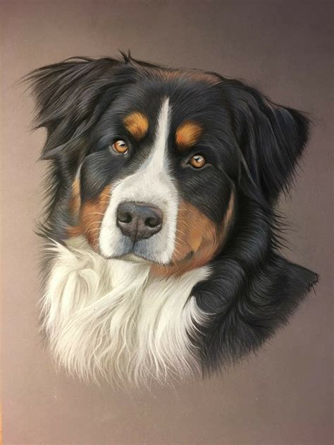 great picture | Dog paintings, Dog portrait drawing, Dog art