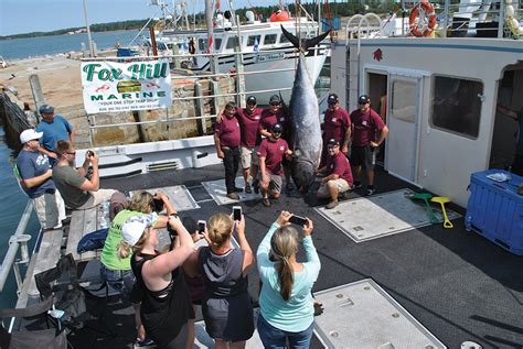 Annual Tuna Tournament Important to Scientific Research | Atlantic Fisherman