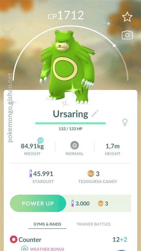 Shiny Ursaring - Pokemon Go