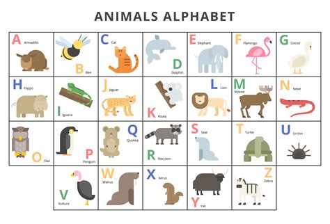 Wild animals alphabet set 1218536 Vector Art at Vecteezy