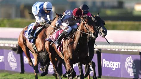 Aidan O’Brien strikes at the Breeders’ Cup but his runner-up suffers leg fracture - Mirror Online