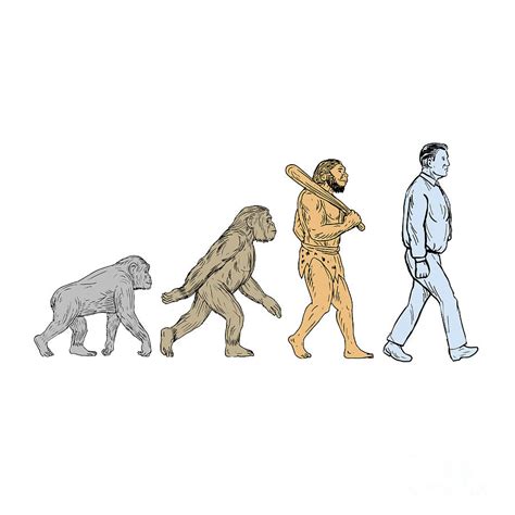 Human Evolution Walking Drawing Digital Art by Aloysius Patrimonio - Pixels