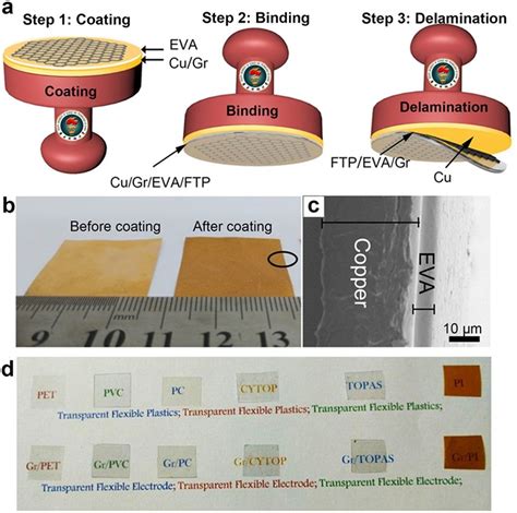 Schematic illustration of stamping method of graphene transfer: (a ...