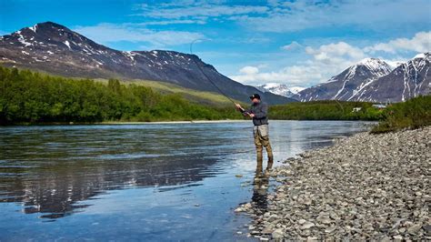 How Does Recreational Fishing Affect The Environment? - UltimateFisher