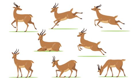 Gazelle Predators PNG, Vector, PSD, and Clipart With Transparent ...