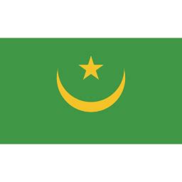 Ensign, flag, nation, singapore icon - Free download