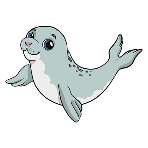 Seal Cartoon Drawing Despite having 33 different species around the ...