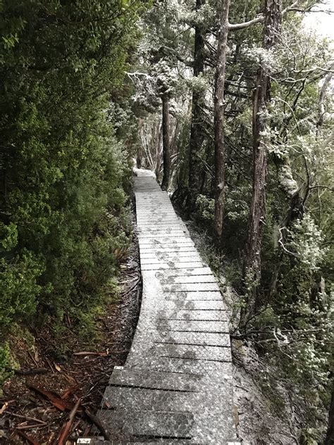 Cradle mountain dove lake Tasmania July 2018 | Tasmania, Lake, Australia