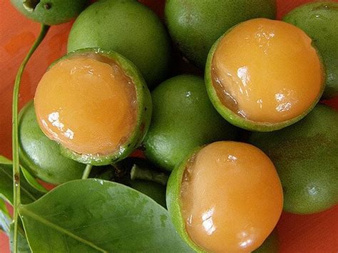 Quenepas: Health benefits and nutritional value