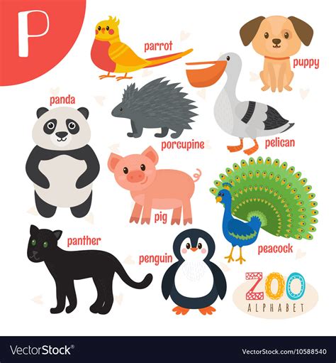 Letter p cute animals funny cartoon animals Vector Image