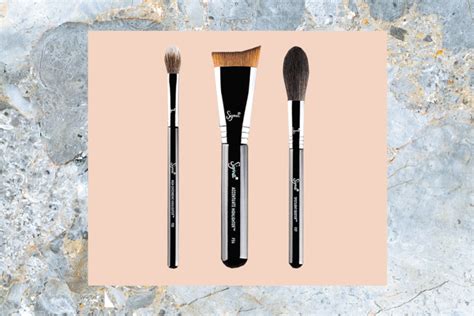 7 Affordable Makeup Brush Sets That Belong on Your Vanity Affordable Makeup Brushes, Best Makeup ...