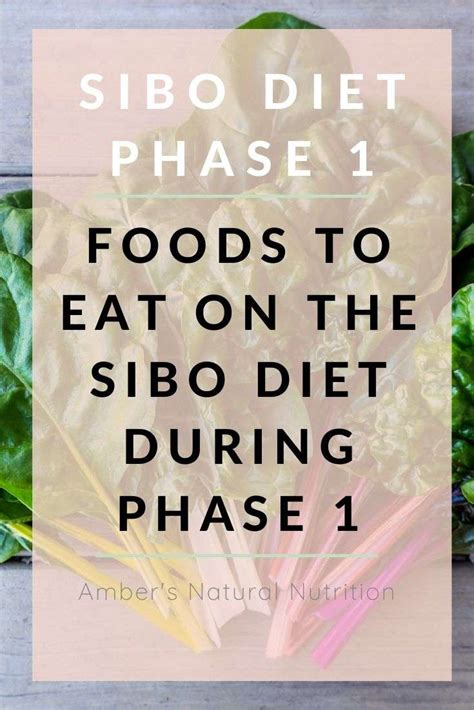 SIBO Diet Phase 1 - Foods to Eat on the SIBO Diet During Phase 1 ...