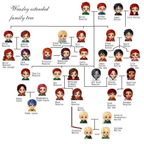 Weasley Extended Family Tree. I find it funny that's there's a line ...