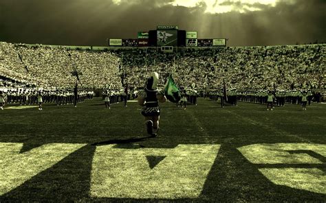 Michigan State Spartans Wallpapers - Wallpaper Cave