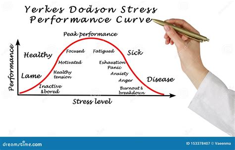 Stress Performance Curve stock image. Image of person - 153378407