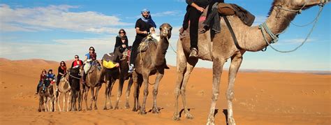 Morocco Travel Packages,explore Marrakech in private tours to desert