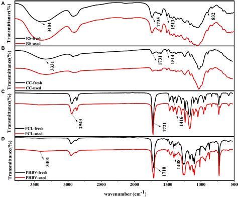 Frontiers | Comparative investigation on heterotrophic denitrification ...