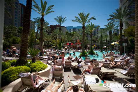 Hilton Grand Vacations at the Flamingo - The Flamingo Pool near the Hilton Grand Vacations ...