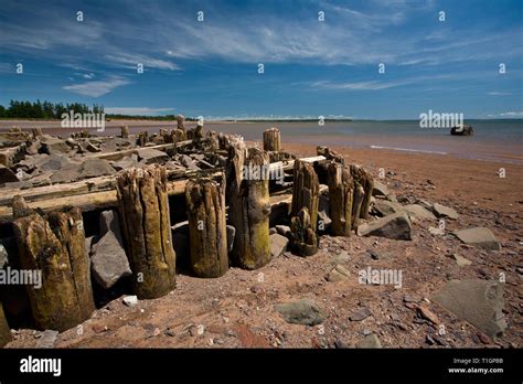 Colchester county hi-res stock photography and images - Alamy