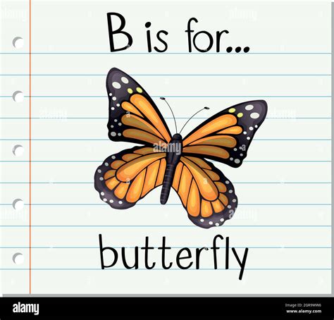 Flashcard letter B is for butterfly Stock Vector Image & Art - Alamy