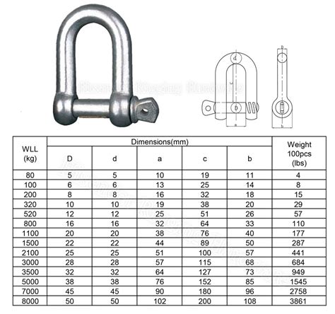 European Type D Shackle of Rigging Hardware Manufacturer