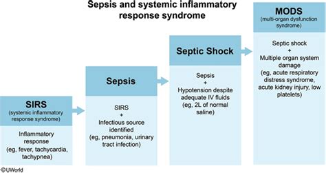 Stages Of Sepsis Sirs Sepsis Severe Sepsis Septic Shock Mods – NBKomputer