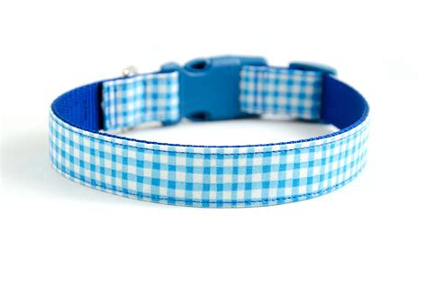 Buckle Dog Collar in Duck (blue) ALMOST GONE! – Mutthead