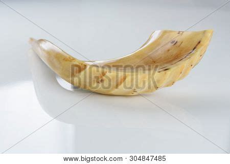 Shofar Horn On White Image & Photo (Free Trial) | Bigstock