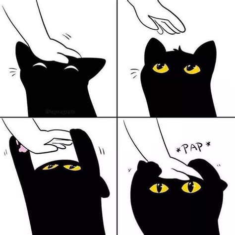 Cat wanting head pats Memes - Imgflip