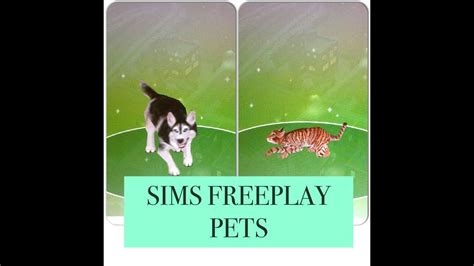 SIMS FREEPLAY PETS - YouTube