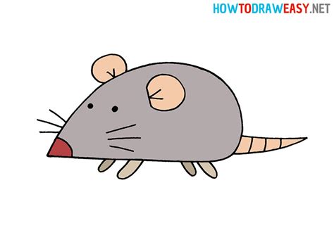 How to Draw a Rat for Kids - How to Draw Easy