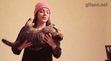 Cat stretches out gifs gif funny cute cats funny gifs cat images cat ...