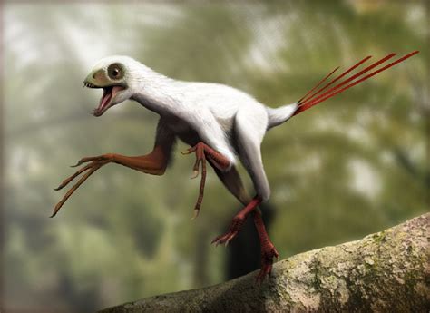 Epidexipteryx Pictures & Facts - The Dinosaur Database