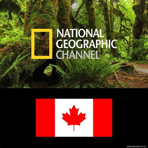 How to Watch National Geographic in Canada [2024]