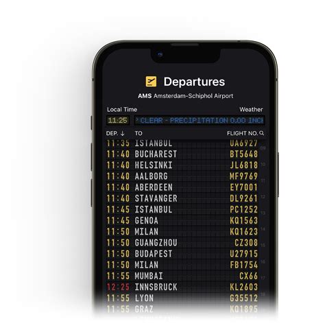 How You Can Check Southwest Airlines Flight Status