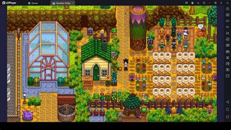 Best Stardew Valley Farm Layouts to Form and Function for the Victory ...