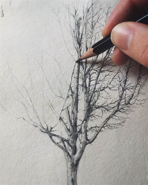 How To Draw Trees Oaks Tree Drawing Tree Drawings Pen - vrogue.co