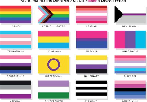 Sexual Orientation and Gender Identity Pride Flags Set 7657348 Vector Art at Vecteezy