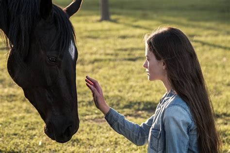 Meet Beauty and Jo in Official Trailer for Disney+'s "Black Beauty"