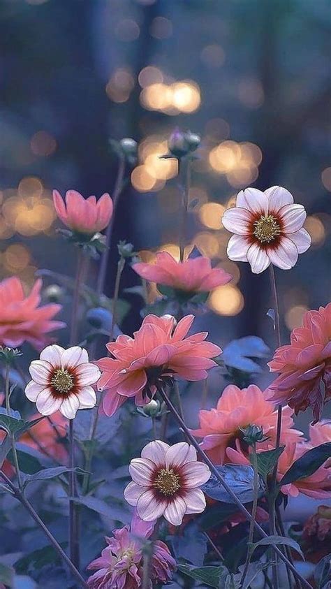 400+ Wallpaper Pinterest Flowers Picture - MyWeb