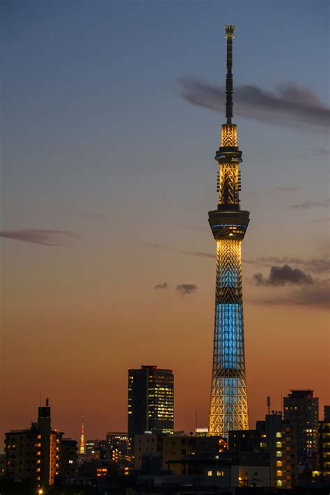 TOKYO SKYTREE® NIGHT VIEW - An Invitation to the Night View ＆raquo ...