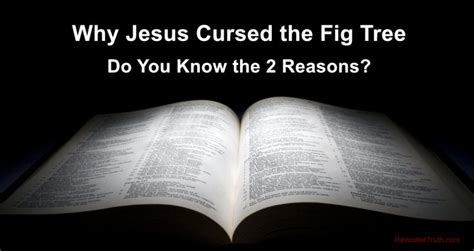 Why Did Jesus Curse the Fig Tree? – Revealed Truth – 2 Reasons