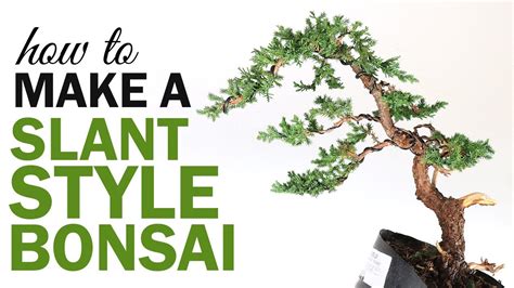 How to Make a Slant Style Bonsai - YouTube