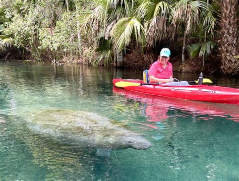 Silver Springs Kayaking Adventures | Kayak Rentals & Tours